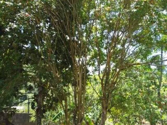 Chácara para Venda em São José dos Campos - 4