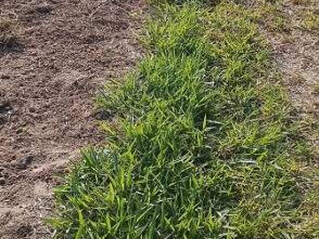 #25847 - Terreno para Venda em Guararema - SP - 1