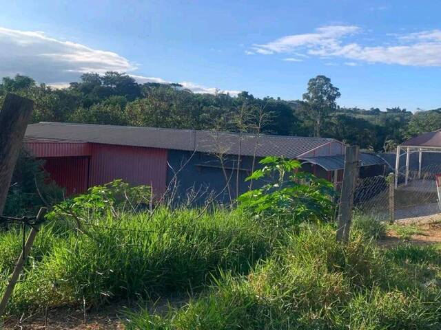 #25892 - Alto Padrão para Venda em São José dos Campos - SP - 1