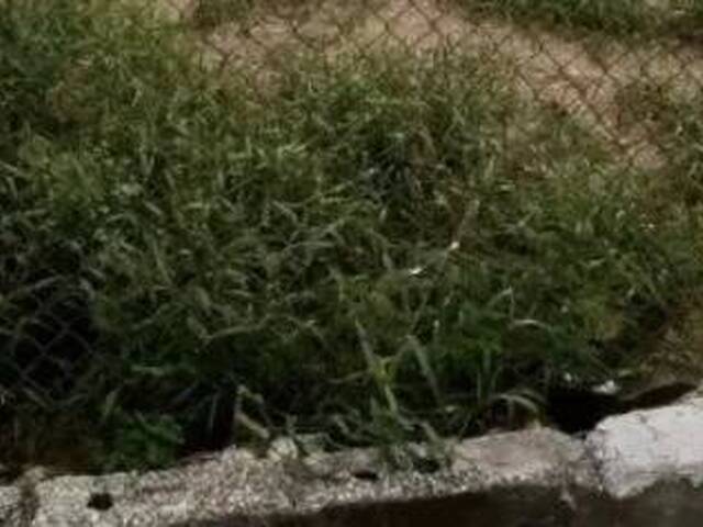 #25925 - Alto Padrão para Venda em São José dos Campos - SP - 1