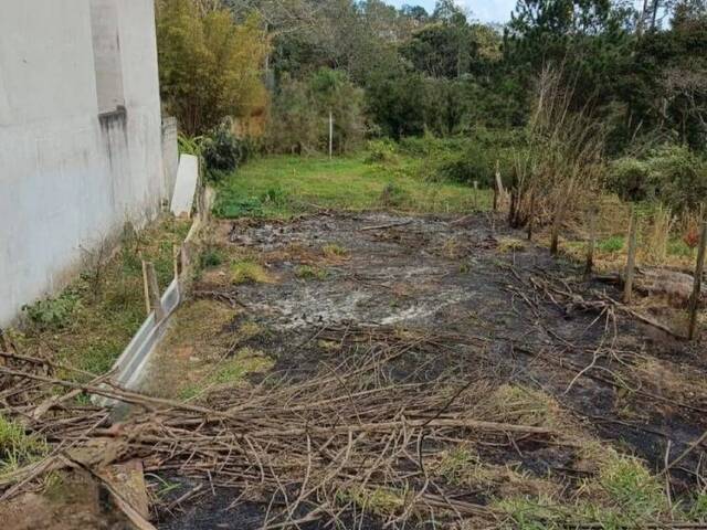 #25953 - Alto Padrão para Venda em Jacareí - SP - 1