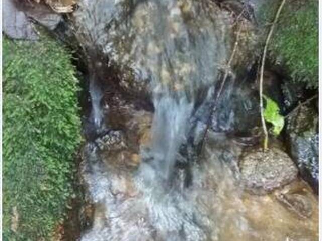 #26012 - Área para Venda em Monteiro Lobato - SP - 3