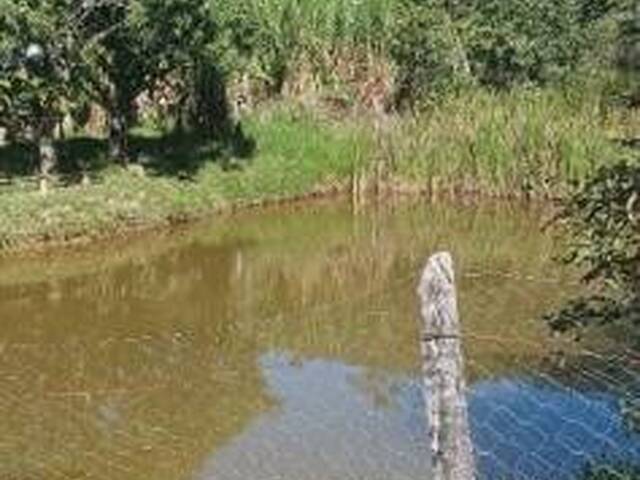 Sítio para Venda em Monteiro Lobato - 5