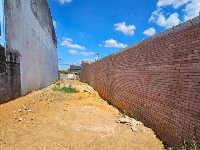 #26237 - Alto Padrão para Venda em São José dos Campos - SP - 3