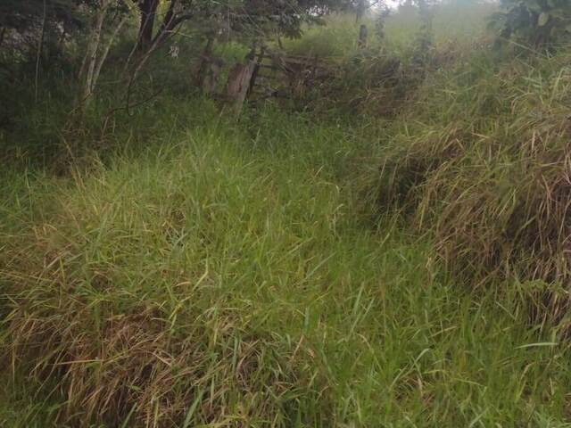 #26293 - Terreno para Venda em São José dos Campos - SP - 2
