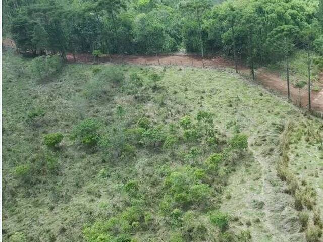 #26344 - Terreno para Venda em Campos do Jordão - SP - 1