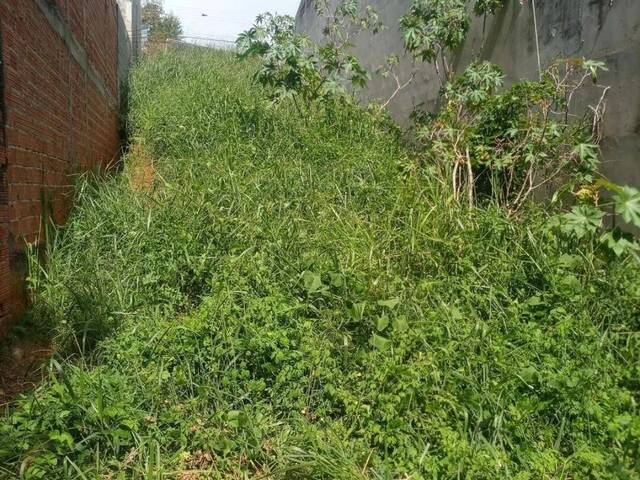#26434 - Alto Padrão para Venda em São José dos Campos - SP - 1