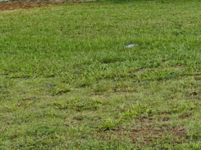 #26455 - Alto Padrão para Venda em São José dos Campos - SP - 1