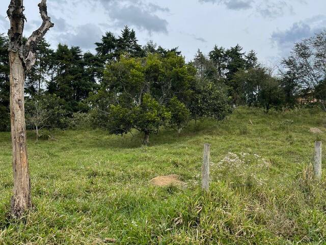 #26512 - Sítio para Venda em São José dos Campos - SP - 2
