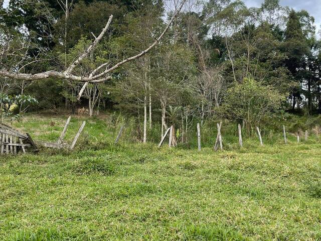 #26512 - Sítio para Venda em São José dos Campos - SP - 3