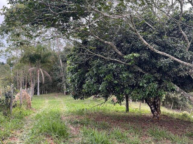 Sítio para Venda em São José dos Campos - 5