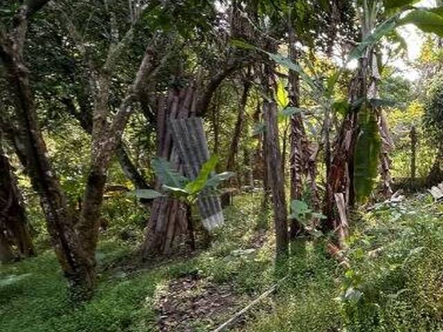 #26525 - Chácara para Venda em Paraibuna - SP - 2